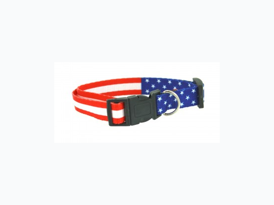 Patriotic Dog Collar - Patterns May Vary