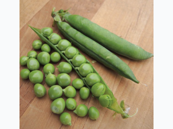 Organic Heirloom Green Arrow Shelling Pea Seeds - Generic Packaging