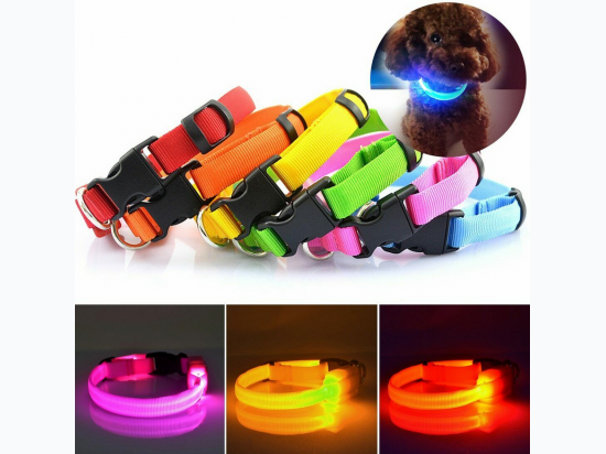 Brite Doggie Solid Color Battery Operated LED Dog Collars - Small - Toy Breeds
