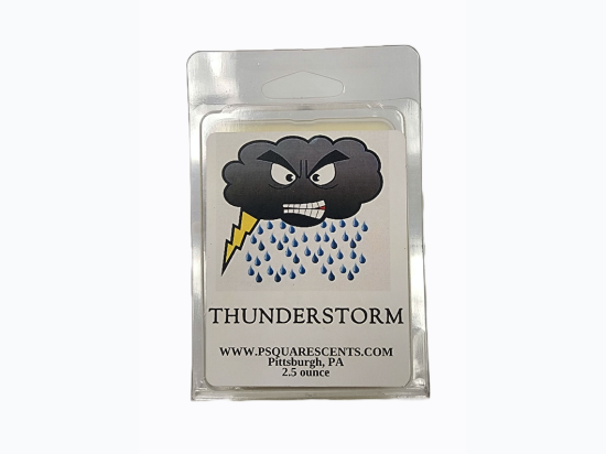 Artisan Hand Poured Soy Wax Melts - Thunderstorm