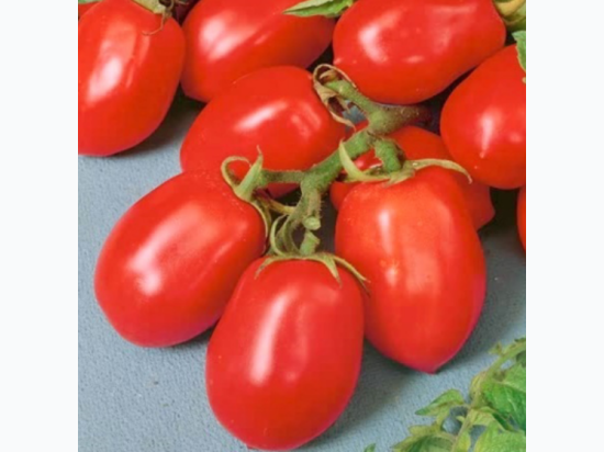 Organic Heirloom Roma Tomato Seeds - Generic Packaging