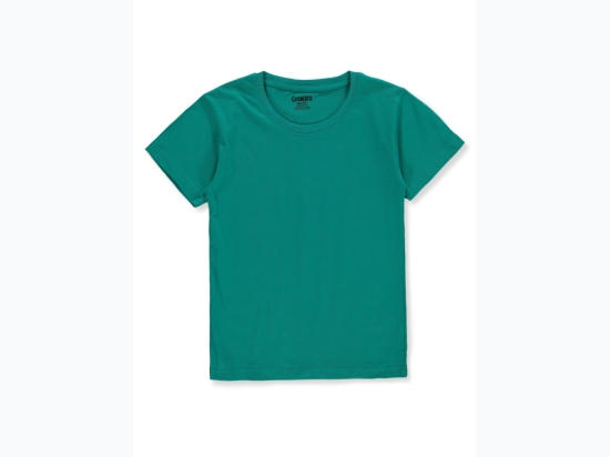 Boy's Cookie Brand Solid Crew Neck T-Shirt in Teal