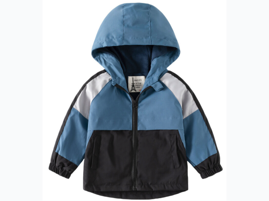 Toddler Boy's Colorblock Contrast Hooded Jacket - in Blue