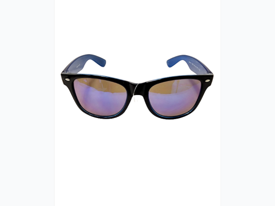 Unisex Black & Blue Two-Tone Wayfarer Style Sunglasses