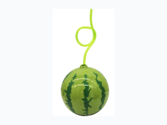Watermelon Party Tumbler Cup with Curl Straw