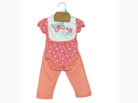 Baby Girl Floral & Butterfly 3pc Creeper Pant Set