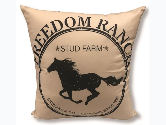 Accent Pillow - Freedom Ranch