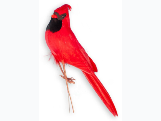 6.5″ Cardinal Pick