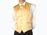 Men's Paisley Design Vest & Tie Set - 3 Color Options