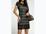 Women's Black Lace Contrast Short Sleeve Mini Dress - S
