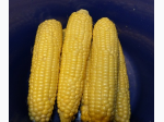 Bodacious Sweet Corn Seeds - Generic Packaging