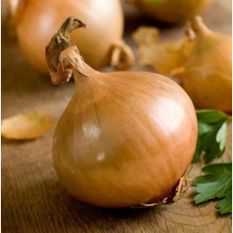 Organic Heirloom Texas Early Grano Onion Seeds - Generic Packaging