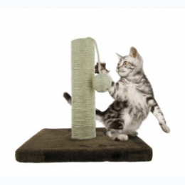 Cat Scratch & Play Post