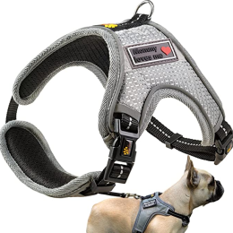 ADITYNA No Pull Dog Harnesses for Small Dogs - Styles May Vary Slightly