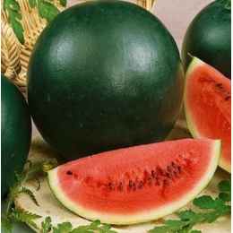 Organic Heirloom Sugar Baby Watermelon Seeds - Generic Packaging