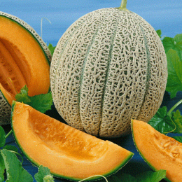 Organic Heirloom Hales Best Cantaloupe Seeds - Generic Packaging