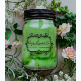 Coyer Mason Jar Swirled Soy Candle - Cucumber & Lemon - 16 oz