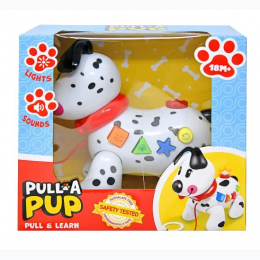 Pull A Pup Learning Dog with Lights and Sound