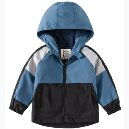 Toddler Boy's Colorblock Contrast Hooded Jacket - in Blue