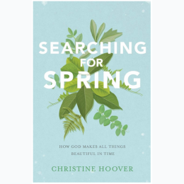 Searching for Spring