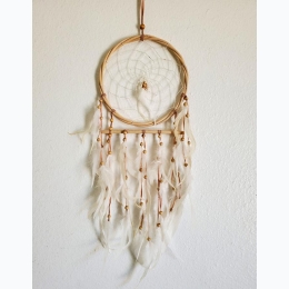 Natural 8" Rattan Circle Dream Catcher with Feathers & Beads - 20" H
