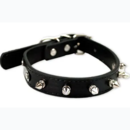 Spiked Dog Collar - 3 Color Options