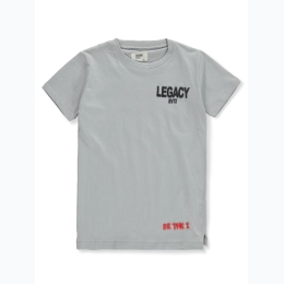 Boy's Evolution Front & Back Legacy Puff Graphic T-Shirt in Grey